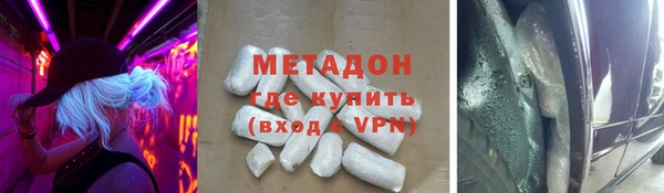 сатива Аркадак