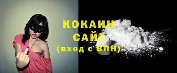 сатива Аркадак
