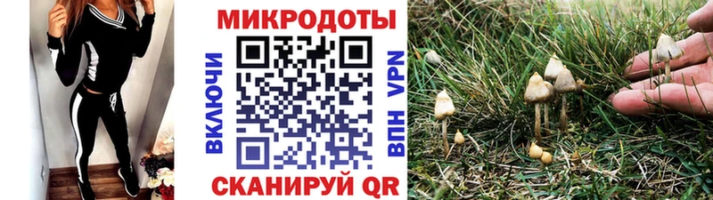 kraken   Усть-Лабинск  Псилоцибиновые грибы GOLDEN TEACHER  купить наркоту 